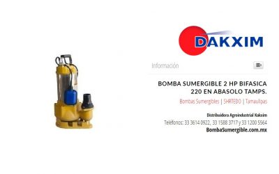 Bomba Sumergible 2 Hp Bifasica 220 en Abasolo Tamps.