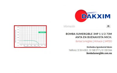 Bomba Sumergible 3hp 1 1/2 73m Anta en Buenavista Mich.
