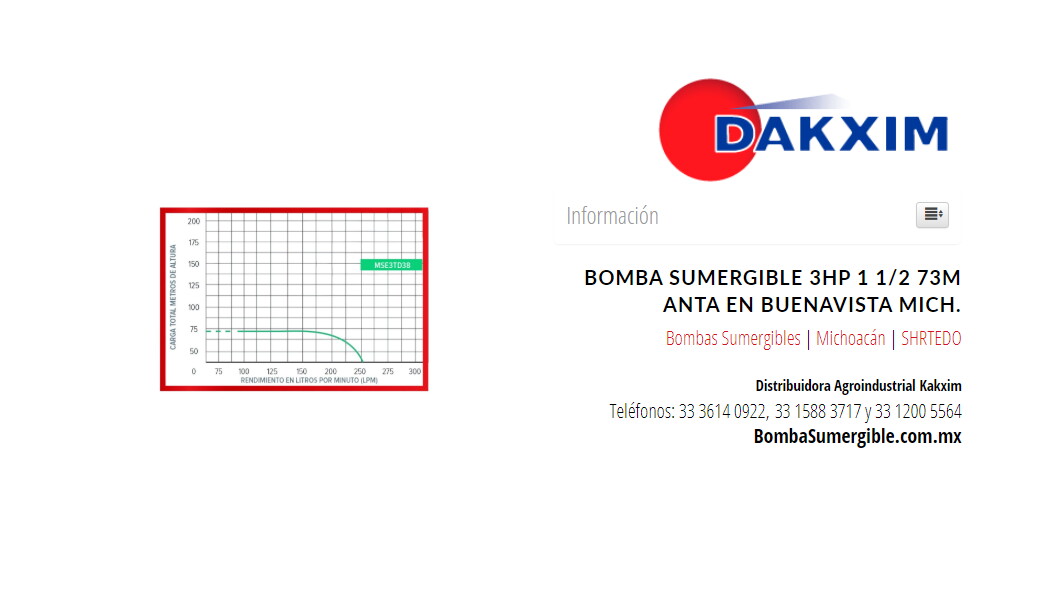 Bomba Sumergible 3hp 1 1/2 73m Anta en Buenavista Mich.