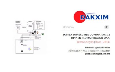 Bomba Sumergible Dominator 1.2 Hp P en Pluma Hidalgo Oax.