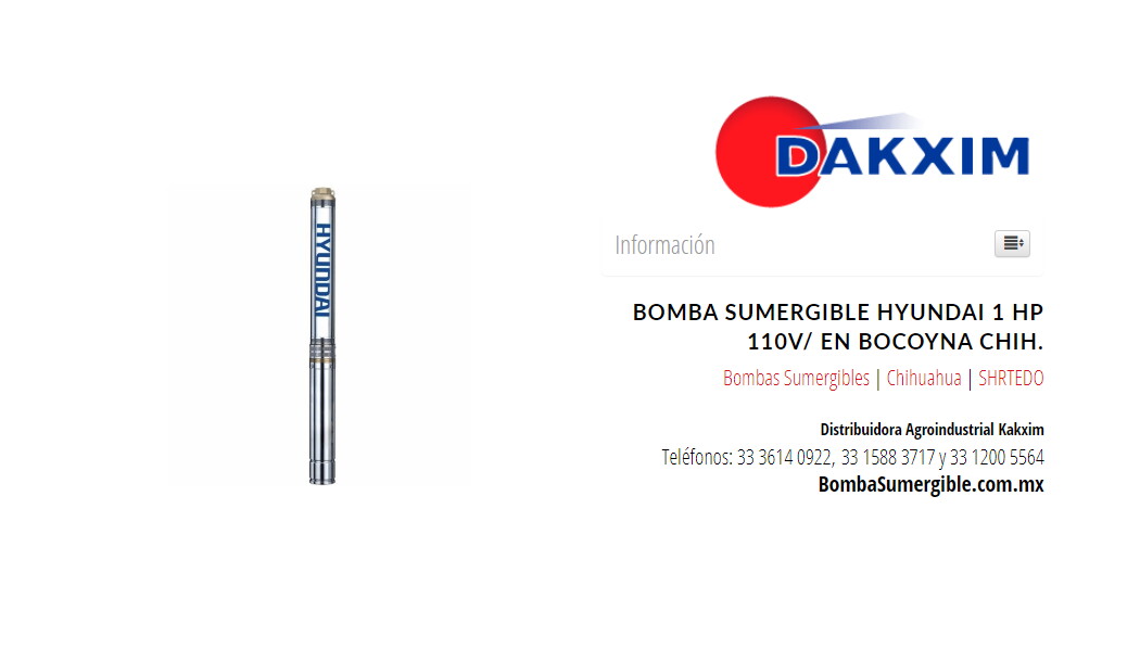 Bomba Sumergible Hyundai 1 Hp 110v/ en Bocoyna Chih.