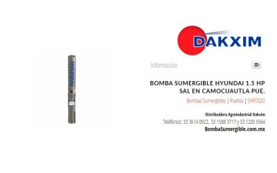 Bomba Sumergible Hyundai 1.5 Hp Sal en Camocuautla Pue.