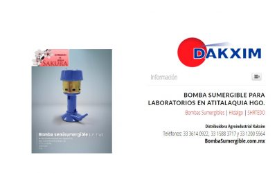 Bomba Sumergible Para Laboratorios en Atitalaquia Hgo.