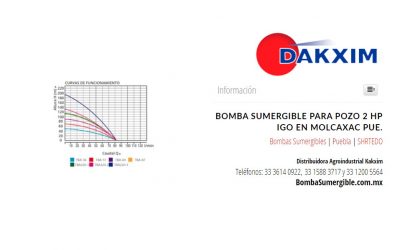 Bomba Sumergible Para Pozo 2 Hp Igo en Molcaxac Pue.