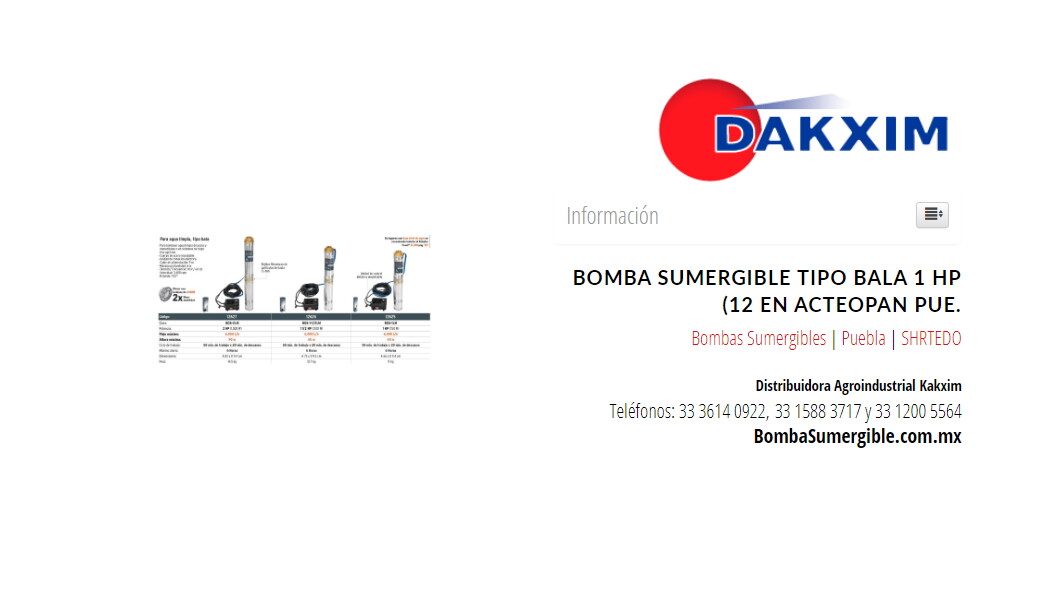Bomba Sumergible Tipo Bala 1 Hp (12 en Acteopan Pue.