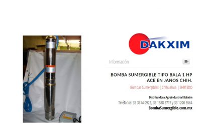 Bomba Sumergible Tipo Bala 1 Hp Ace en Janos Chih.