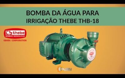 BOMBA DE ÁGUA CENTRÍFUGA PARA IRRIGAÇÃO THEBE THB-18 | Coliseu Ferramentas