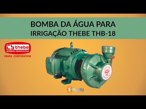 BOMBA DE ÁGUA CENTRÍFUGA PARA IRRIGAÇÃO THEBE THB-18 | Coliseu Ferramentas