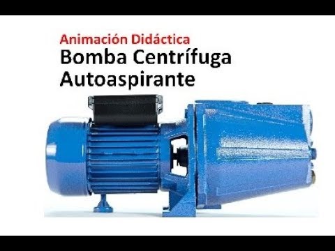 Bomba Centrífuga Autoaspirante (autocebante) - Categoría Información de Bombas Centrífugas 2021 - @Dakxim México