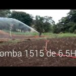 Bomba Para Agua Barmesa  1515 - Categoría Riego Agrícola Videos 2021 - @Dakxim México