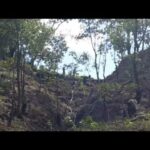 Bomba Para Agua Barmesa 9hp 2x2" - Categoría Riego Agrícola Videos 2021 - @Dakxim México