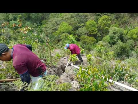Bomba Para Agua Barmesa - Categoría Riego Agrícola Videos 2021 - @Dakxim México