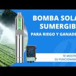 Bomba Sumergible Solar Energizada Directamente Con Paneles P - Categoría Información de Bombas Sumergibles 2021 - @Dakxim México