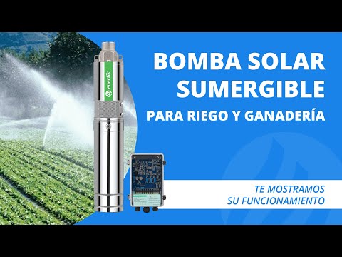 Bomba Sumergible Solar Energizada Directamente Con Paneles P - Categoría Información de Bombas Sumergibles 2021 - @Dakxim México