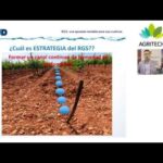 Características Del Sistema De Riego Por Goteo Subterráneo - Categoría Riego Agrícola Videos 2021 - @Dakxim México