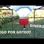Como Hacer Un Riego Por Goteo Casero (sin Gastar Dinero!!) - Categoría Riego Agrícola Videos 2021 - @Dakxim México