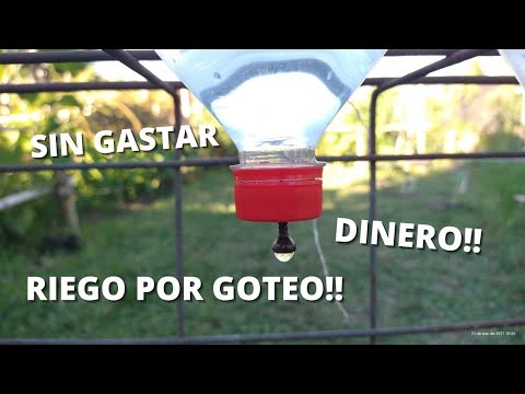 Como Hacer Un Riego Por Goteo Casero (sin Gastar Dinero!!) - Categoría Riego Agrícola Videos 2021 - @Dakxim México