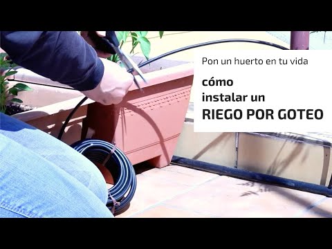 Cómo Instalar Un Riego Por Goteo En Macetas - Categoría Riego Agrícola Videos 2021 - @Dakxim México