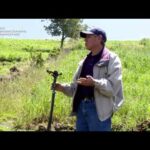El Riego Por Aspersión - Categoría Riego Agrícola Videos 2021 - @Dakxim México