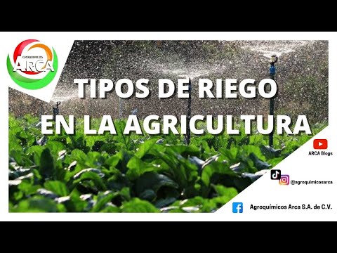 Los Tipos De Riego En La Agricultura - Categoría Riego Agrícola Videos 2021 - @Dakxim México