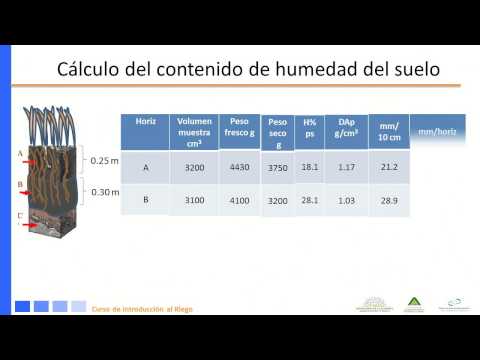 Modulo 1: Cálculo De La Lámina De Riego Primer Parte - Categoría Riego Agrícola Videos 2021 - @Dakxim México