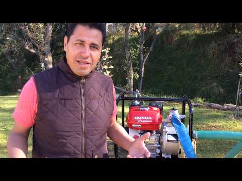 Motobomba Honda Wl20xm Para Riego Y Traslado De Agua. - Categoría Riego Agrícola Videos 2021 - @Dakxim México