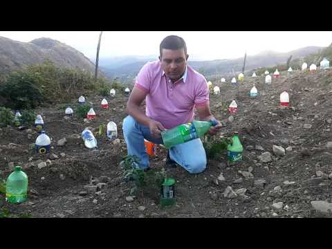 Riego Solar En Cajamarca-perÚ - Categoría Riego Agrícola Videos 2021 - @Dakxim México