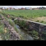 Riego Agrícola Con 2'' - Categoría Riego Agrícola Videos 2021 - @Dakxim México