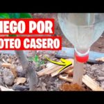 Riego Por Goteo Casero 💧 Muy Fácil | La Huerta De Iv - Categoría Riego Agrícola Videos 2021 - @Dakxim México