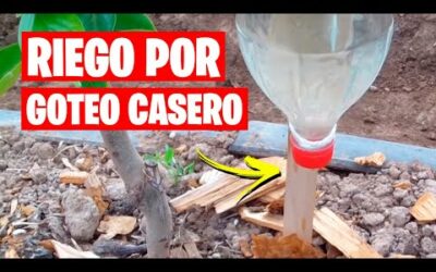 Riego por Goteo Casero 💧 Muy Fácil | La Huerta de Ivan