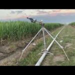 Riego Por Aspersión 2019 - Categoría Riego Agrícola Videos 2021 - @Dakxim México