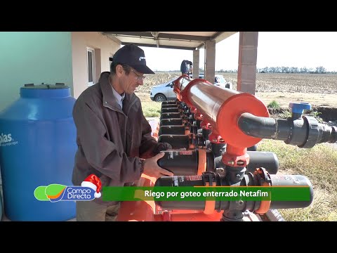Riego Por Goteo Enterrado - Categoría Riego Agrícola Videos 2021 - @Dakxim México