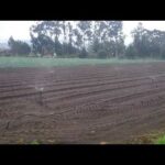 Sistema De Riego A Campo Abierto Con Aspersor Senninger Xcel - Categoría Riego Agrícola Videos 2021 - @Dakxim México