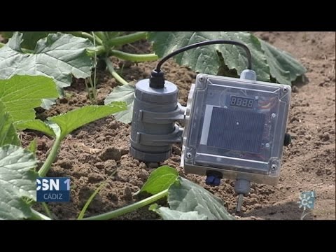 Sistema de riego inteligente para explotaciones agrícolas