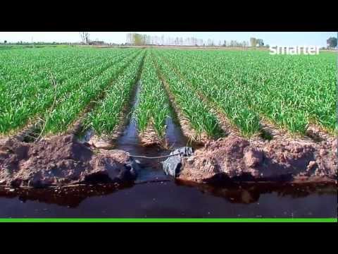 Smarter Tt - Aplicación Canal De Riego - Categoría Riego Agrícola Videos 2021 - @Dakxim México