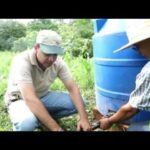 Tecnologías De Sistema De Riego Por Goteo - Categoría Riego Agrícola Videos 2021 - @Dakxim México