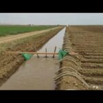 Trabajo De Campo California  Eu,  Sistema De Riego Por Agua - Categoría Riego Agrícola Videos 2021 - @Dakxim México