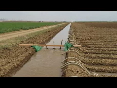 Trabajo De Campo California  Eu,  Sistema De Riego Por Agua - Categoría Riego Agrícola Videos 2021 - @Dakxim México
