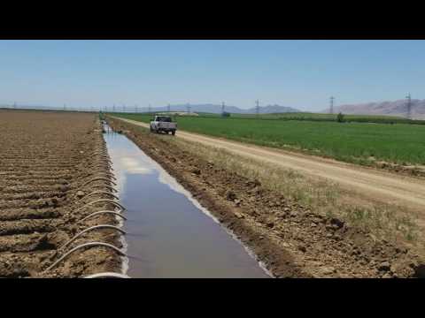 Trabajo De Campo Riego Por Agua Rodada California Estados Un - Categoría Riego Agrícola Videos 2021 - @Dakxim México