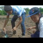 Tutorial Instalación Sistema De Riego Por Goteo - Categoría Riego Agrícola Videos 2021 - @Dakxim México