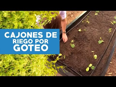 ¿cómo Hacer Una Huerta En Cajones Con Riego Por Goteo? - Categoría Riego Agrícola Videos 2021 - @Dakxim México